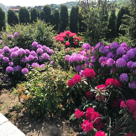 Ny I Nevlunghavn דירה *