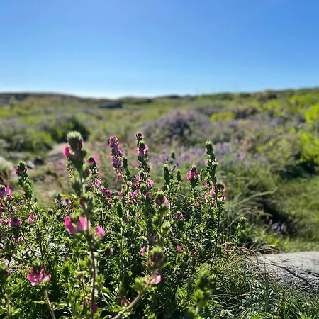 דירה Ny I Nevlunghavn לארביק