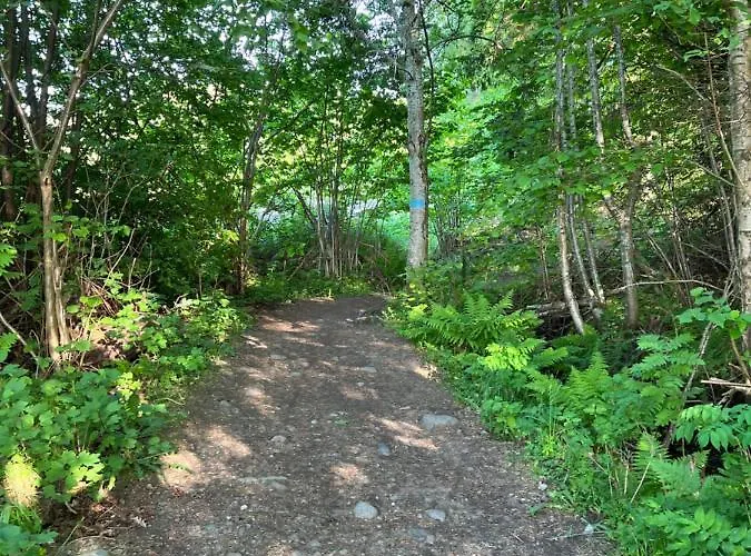 Ny I Nevlunghavn アパート *