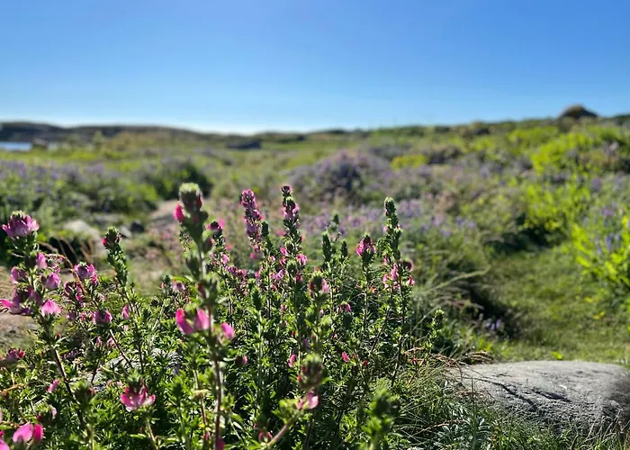 Leilighet Ny I Nevlunghavn Larvik