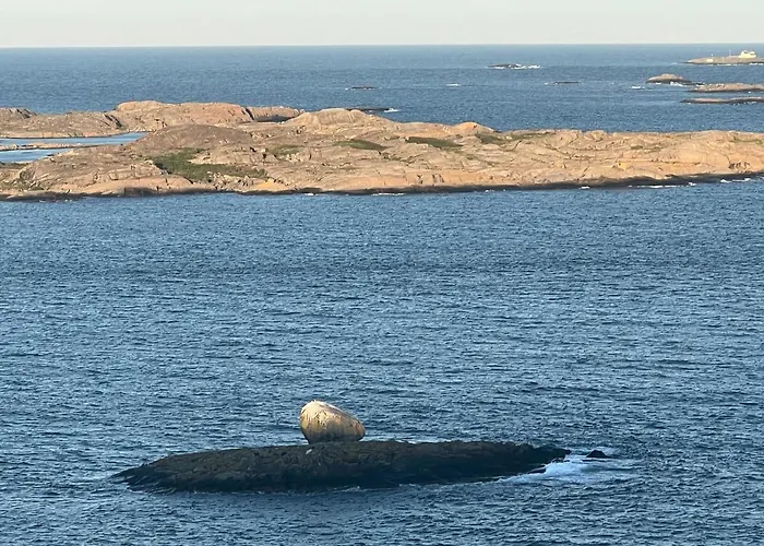 Leilighet Ny I Nevlunghavn